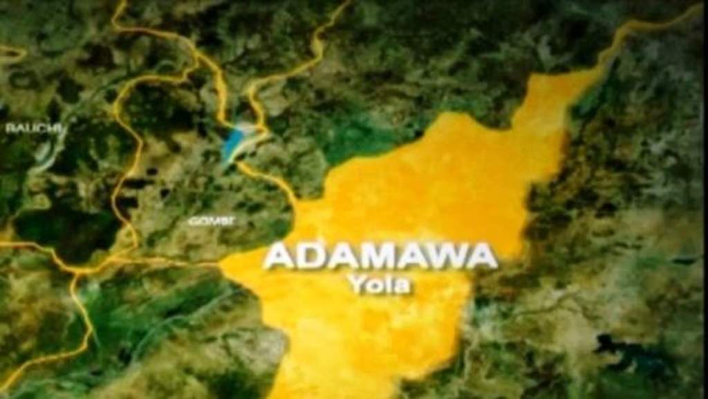 Adamawa community leaders decry negligence by NEDC, calls on Buhari to sack&nbsp;Alkali