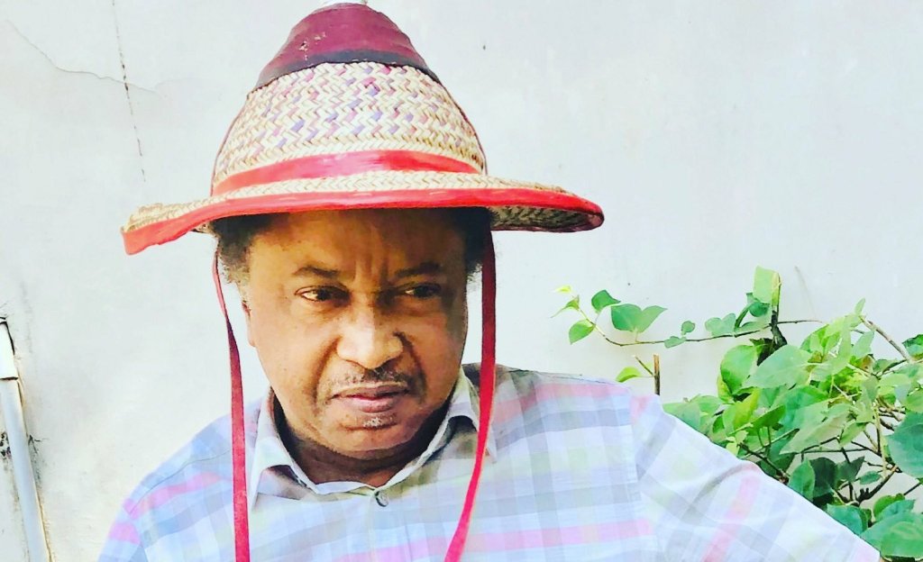 Attack on Nuhu Ribadu , Baseless , Irresponsible says Shehu Sani 