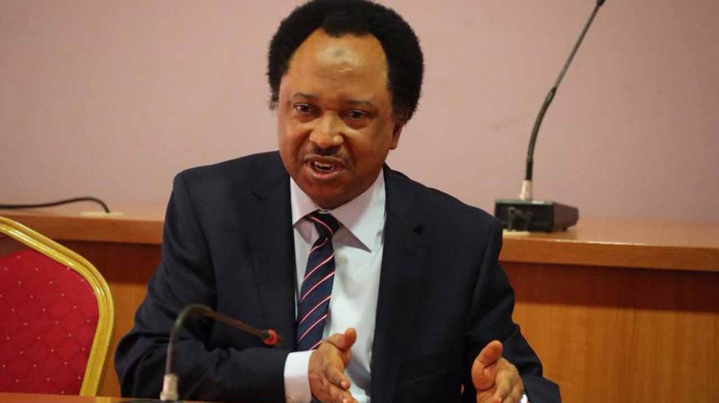Shehu Sani condemns  hiring of Washington firm to rubbish Tinubu,&nbsp;FG
